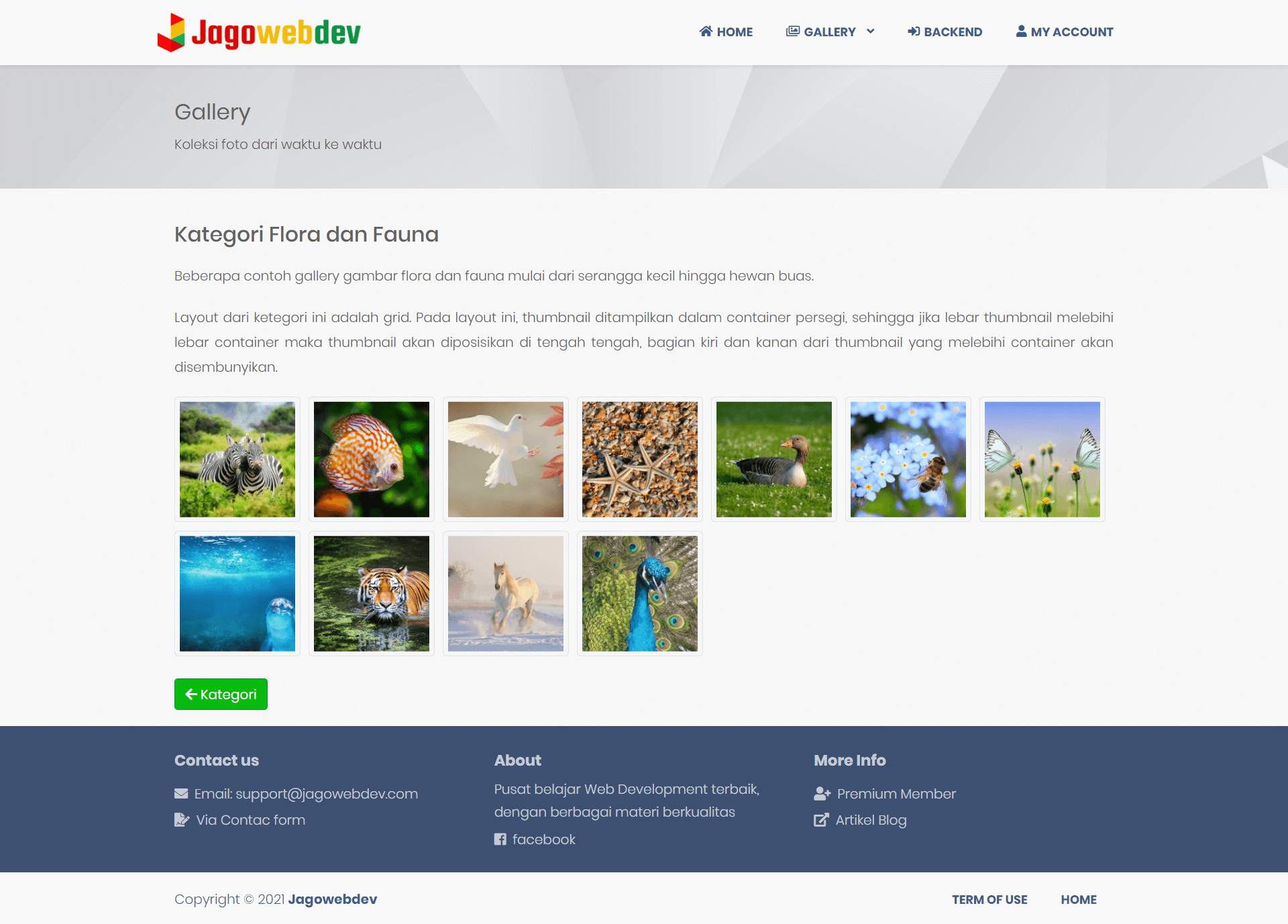 Gallery Foto Dengan Layout Grid